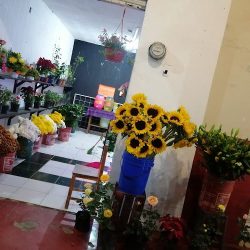 Floristería Portales