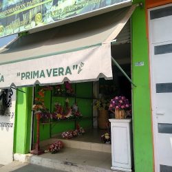 Floristeria "primavera"