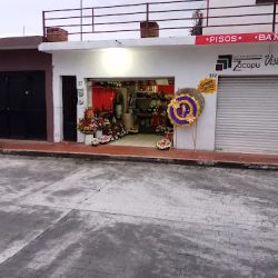 Floristeria Primavera Arte & Diseño