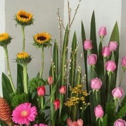 Floristeria Ramito De Violeta