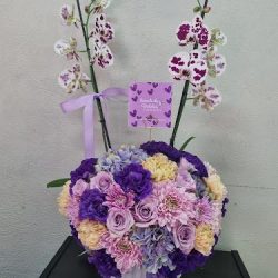 Floristería Ramito De Violetas
