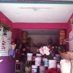 Floristería San Miguel