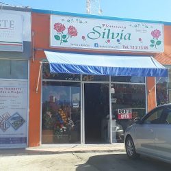 Floristeria Silvia