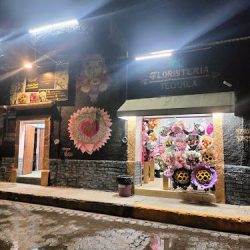 Floristeria Tequila