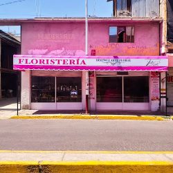 Floristería Teté "suc. Valle De Chalco"