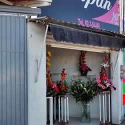 Floristería Tulipán Irapuato