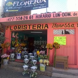 Floristeria Vanessa Iii