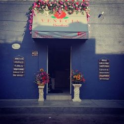 Floristeria Venecia