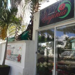 FloristerÍa Virginia