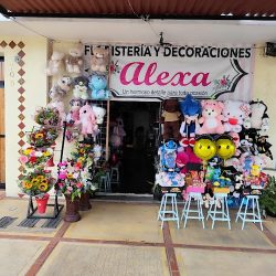 Floristería Y Decoraciónes Alexa