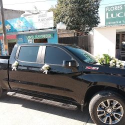 Floristería Y Regalos Lucem