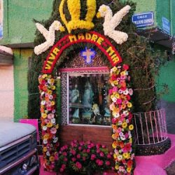 Floristería Yohanan Teoloyucan