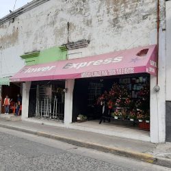 Flower Express