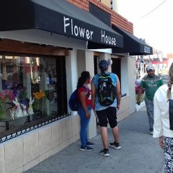 Flower House
