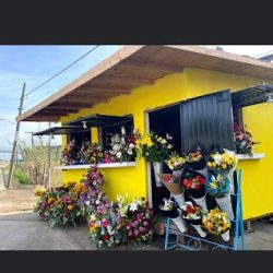Flower Shop By Luisa Santiago