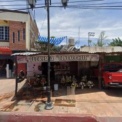 FlowerÍa Tzycxochitl