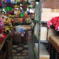Follajes Plantas Flores Y Mas