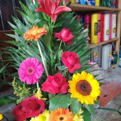 Franco Floristería