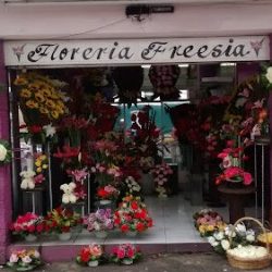 Freesia