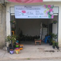 Frutales Y Ornamentales D`liz
