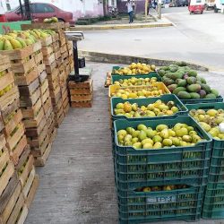 Frutería Betilo