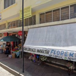 Gala Flores Exclusivas