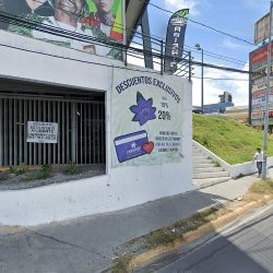 Galalil Florería Contemporanea