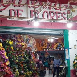 Galeria De Flores