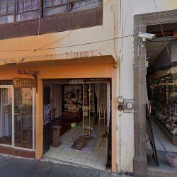 Galeria De La Flor