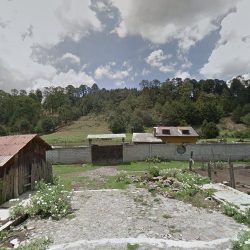 Gea Floreria Y Regalos