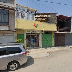 Genevive Floristeria