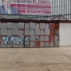 Gerardo Flores