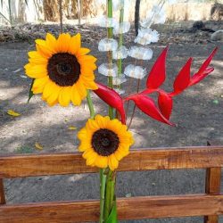 Girasoles Y Algo Más