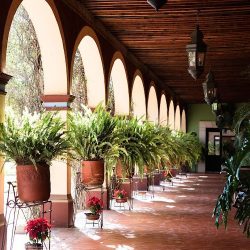 Hacienda Viborillas - Eventos