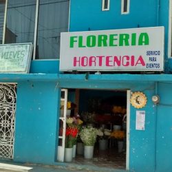 Hortencia