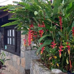 Hotel Xochitlan