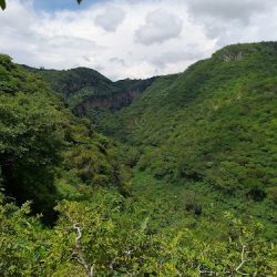 Huanguitio