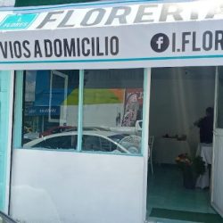 I.flores