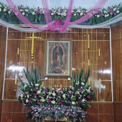 Iglesia De San Martin Toltepec