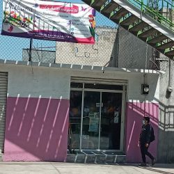 Ikebhana Fest - Centro Certificador, Florería Y Eventos