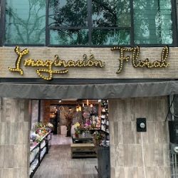 Imaginacion Floral