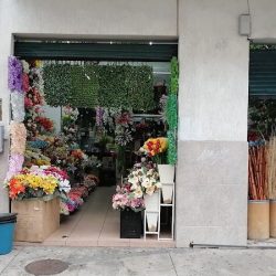 Importaciones Elmer