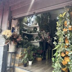 Incondicional: Decoración, Toldos, Florería Y Más.