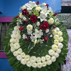 Innovadora Floral Floreria
