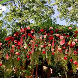 Inovacion Floral