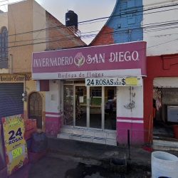 Invernadero San Diego