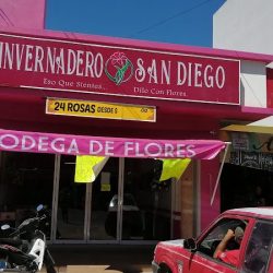 Invernadero San Diego