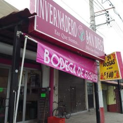 Invernadero San Diego