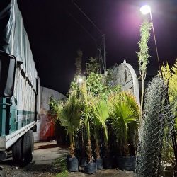 Invernaderos "jardín Del Abuelo"