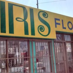 Iris Floreria